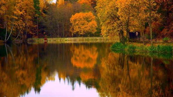 Serenity Now
